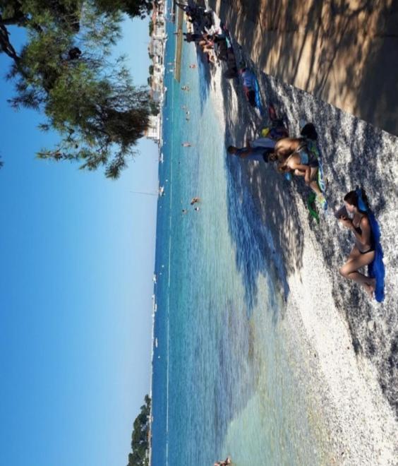 Pinia-marina * Porec